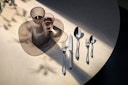 WMF Premiere Besteck-Set, 66-teilig, Cromargan protect®