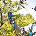 Makita Akku-Astschere DUP361Z