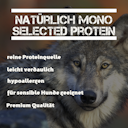 Vorschaubild LEITWOLF Selected Fisch mit Kartoffeln