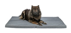 TRIXIE Matratze Samoa Vital, faltbar, wasserabweisend, dunkelgrau