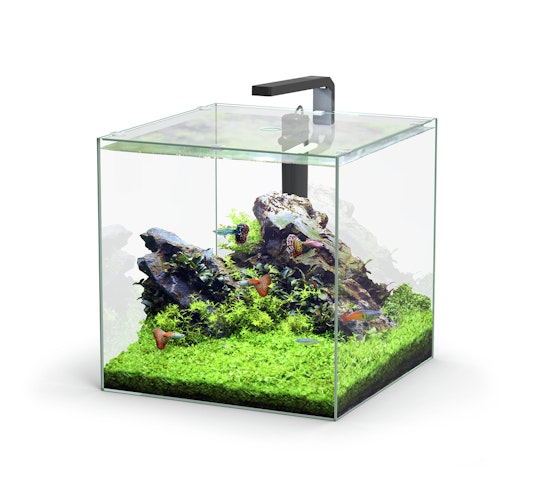 aquatlantis Kubus LED 54 Liter Aquarienset