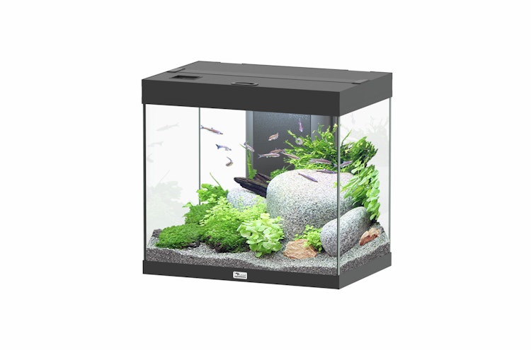 Aquatlantis Splendid 110 Aquarium-Set