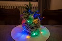 Vorschaubild Konstsmide Weihnachtsbeleuchtung  Micro LED Lichterkette 100 bunte Dioden