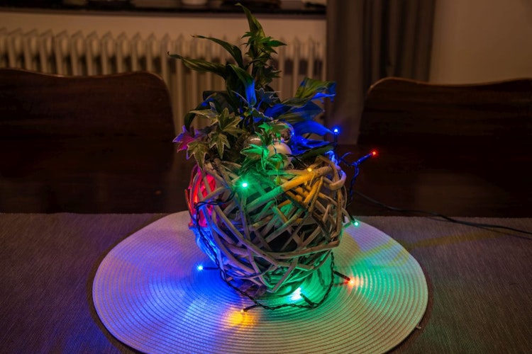 Konstsmide Weihnachtsbeleuchtung  Micro LED Lichterkette 100 bunte Dioden
