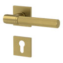 Vorschaubild Griffwerk VAYA 136 ARIS fast2fix Fast2Fix Rosetten eckig Profilzylinder Gold matt