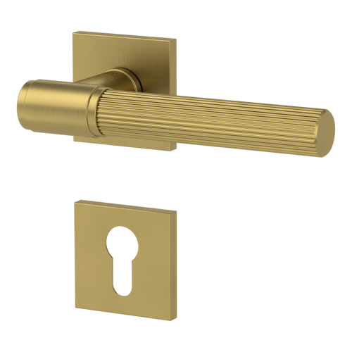 Griffwerk VAYA 136 ARIS fast2fix Fast2Fix Rosetten eckig Profilzylinder Gold matt