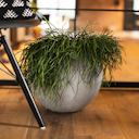 Vorschaubild Plant Pot Aada