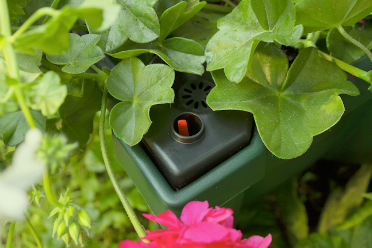 KHW Calypso Pflanzkasten auf Rollen mit Bewässerungssystem + modularem Spalier