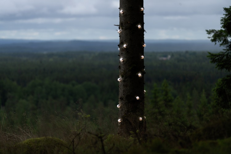 Konstsmide Weihnachtsbeleuchtung LED Lichterkette 30 runde opalfarbene Birnen,warmweiße Dioden