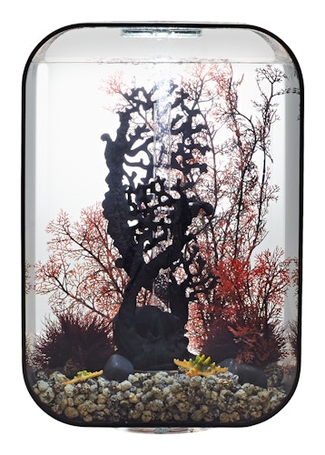 BiOrb Aquarium LIFE 45 MCR