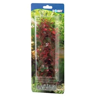 HOBBY Plant Ludwigia Aquarieneinrichtung