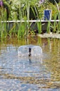 Vorschaubild Pontec Solar-Wasserspielset PondoSolar 150