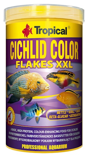 Tropical Cichlid Color XXL