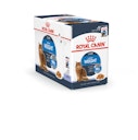 Vorschaubild ROYAL CANIN Feline Light Weight Care in Gelee P.B. Multipack 12x85g