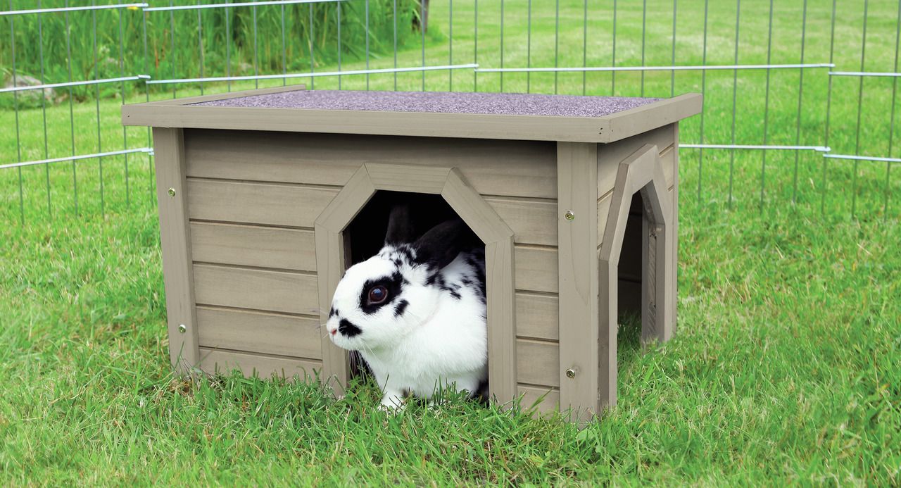 TRIXIE natura Haus 50 x 30 x 37 Centimeter grau Kleintierheim
