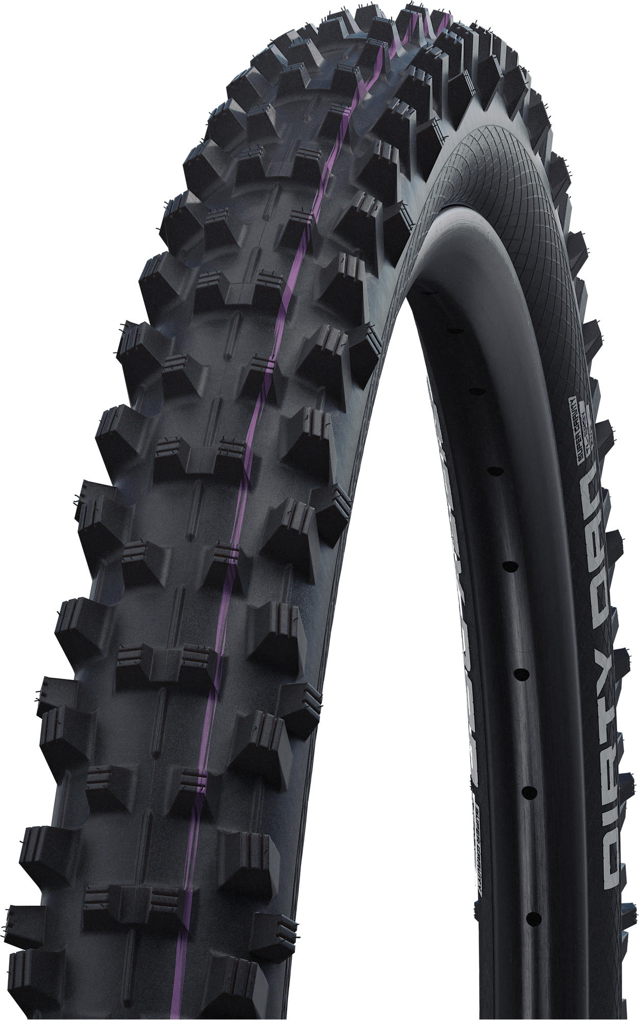 Schwalbe Reifen Dirty Dan Evolution Line