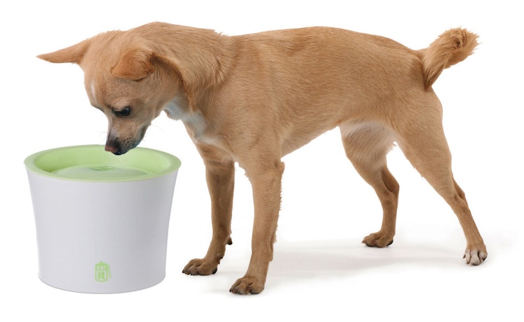 catit Fresh & Clear Trinkbrunnen 3 Liter