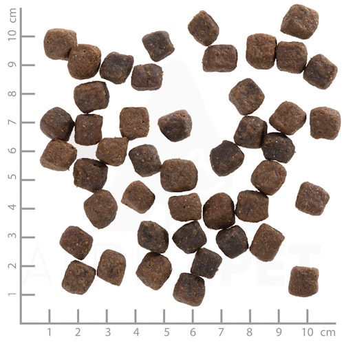 Wolfsblut Deep Glade Small Breed Hundetrockenfutter