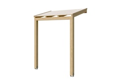 Skan Holz Pultdach Vordach Prerow