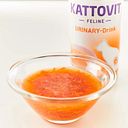 Vorschaubild Kattovit Drink 135ml Urinary