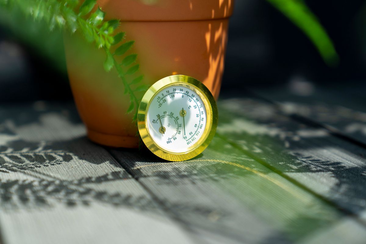 Vitavia Hygrometer