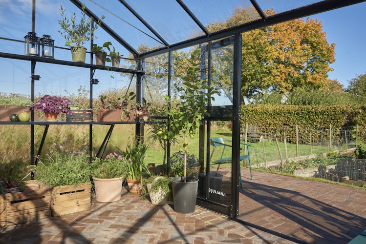 Juliana Gewächshaus Jubii 15,1 m² inkl. gratis Fundamentrahmen im Wert von 539 €