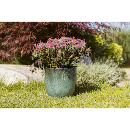 Plant Pot Valio