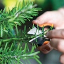 Vorschaubild Fiskars Schere Solid Kräuter SP220 1063326