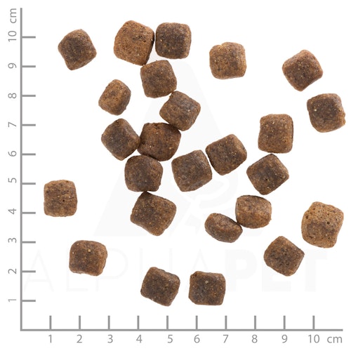 WOLFSBLUT Wide Plain Senior Pferdefleisch und Süßkartoffel Hundetrockenfutter