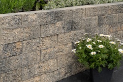 Diephaus Mauerstein RISO MINI 40 x 15 x 10 cm