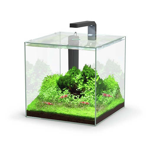 Aquatlantis Kubus LED Aquarium-Set