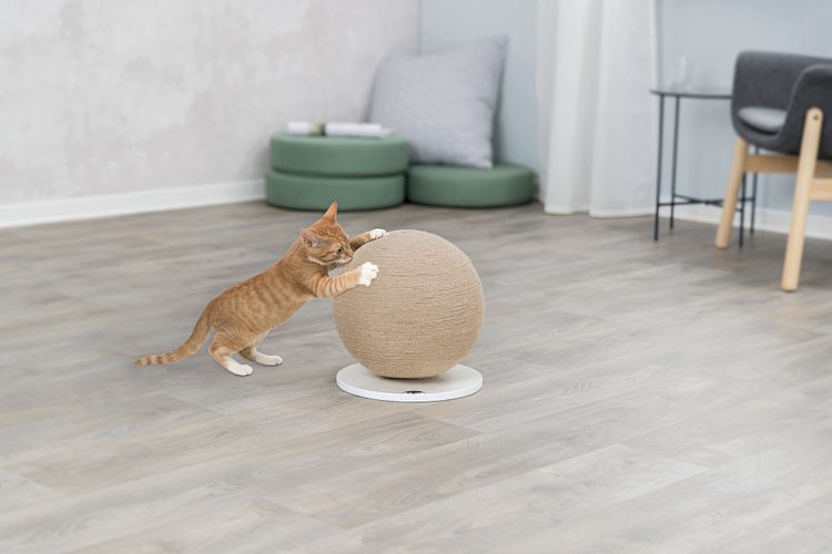TRIXIE Kratzball auf Platte, Jute/Holz, ø 29 × 31 cm