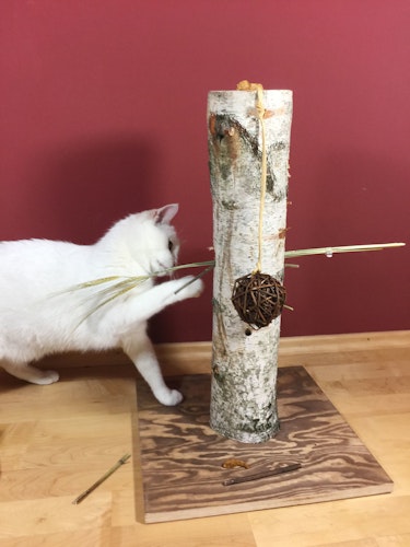 JR FARM Natur Aktiv-Baum Katzenspielzeug