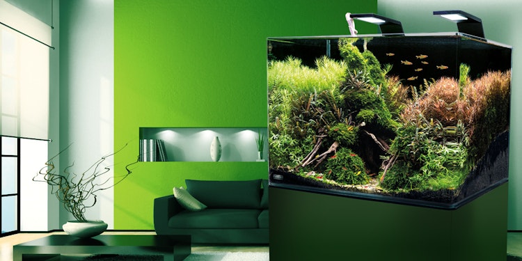 DENNERLE Nano Scaper's Tank 70 Liter Aquarium