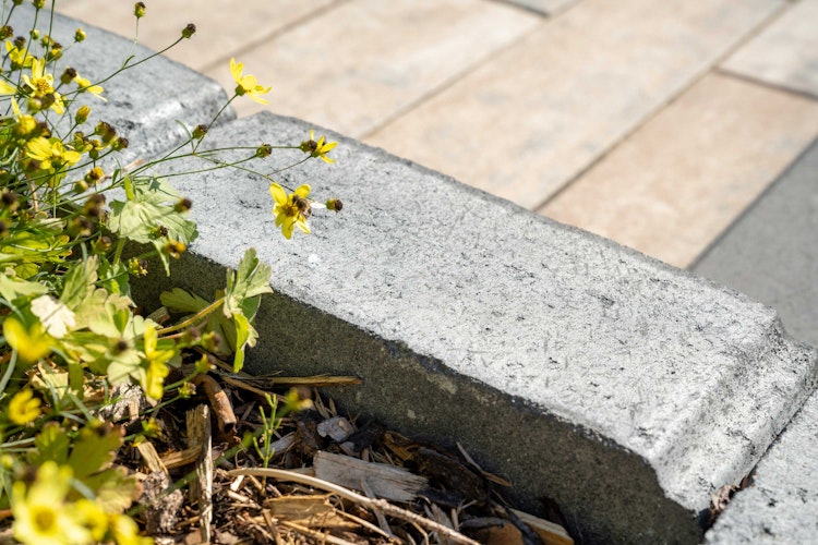 Diephaus Mauerstein CALMONT 40 x 18 x 8 cm