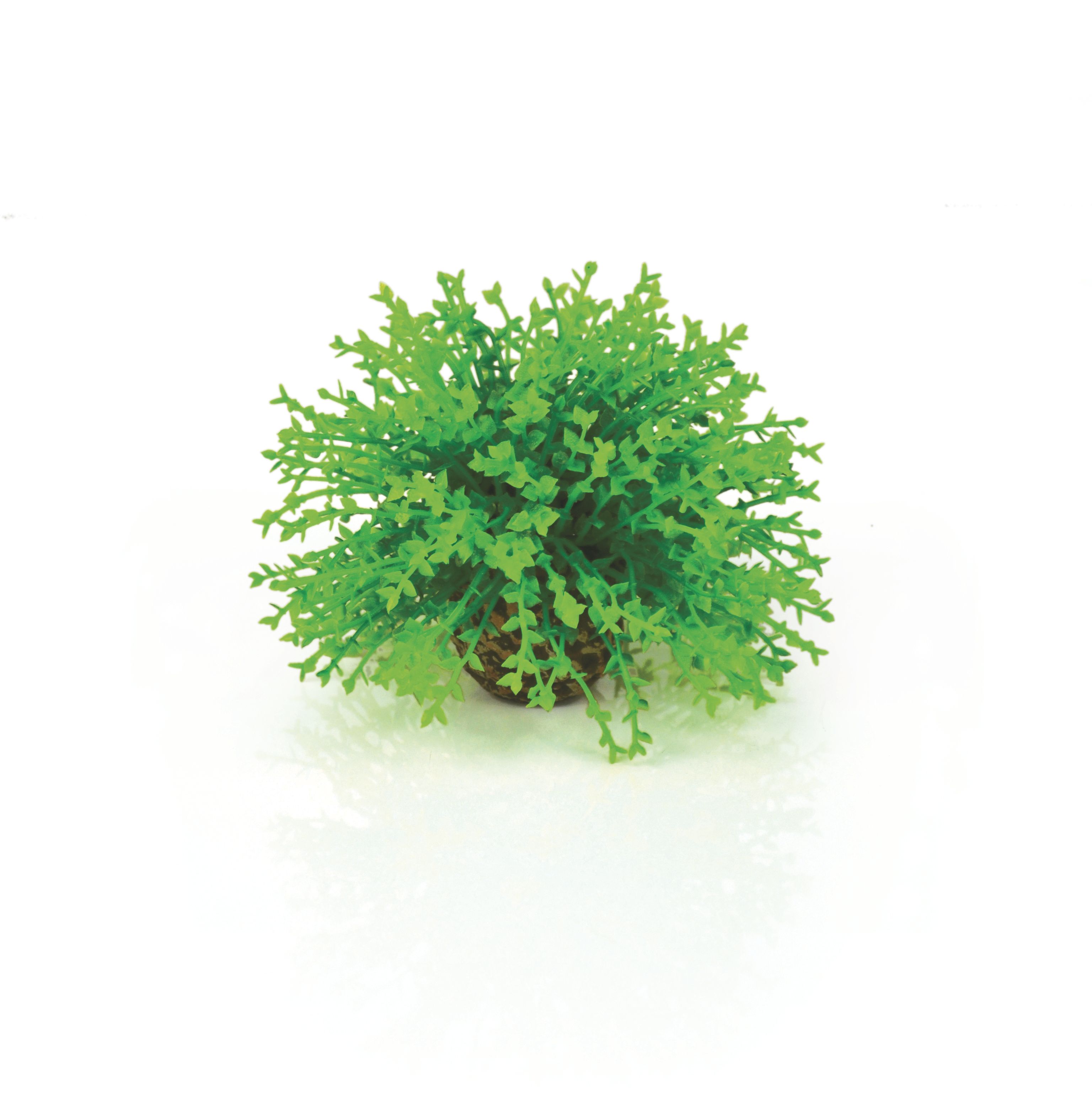 biOrb Blumenball grün (46087)