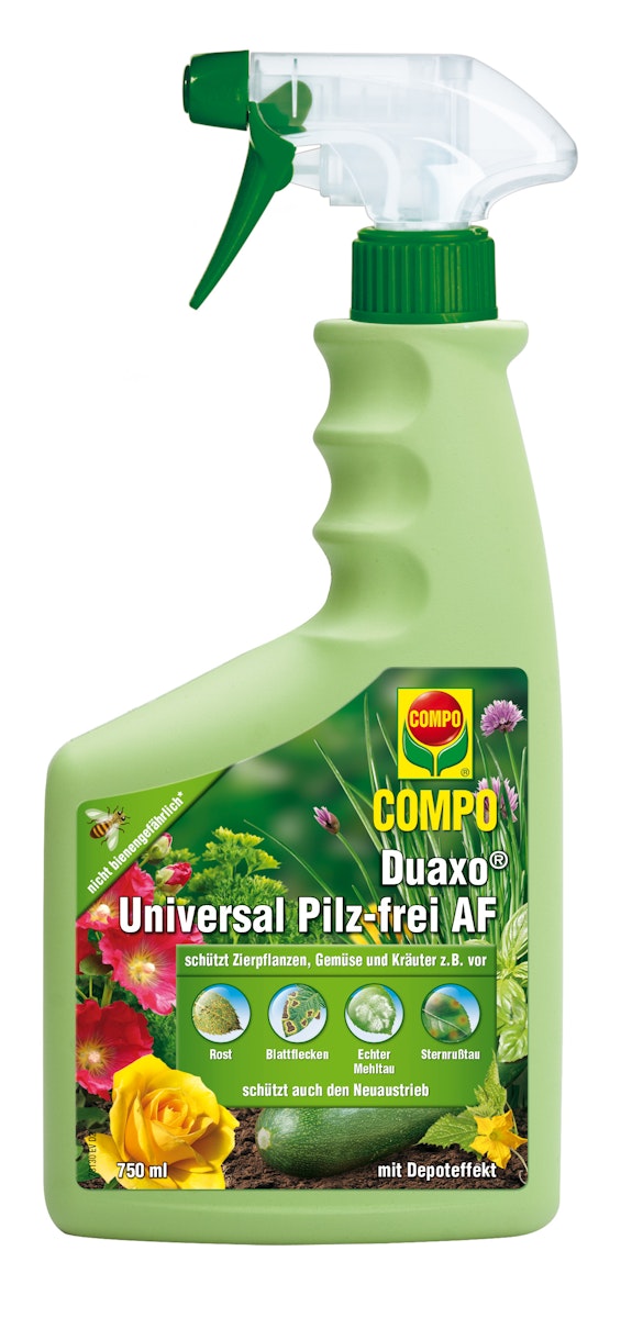 COMPO Duaxo Universal Pilz-frei AF (750 ml) online kaufen