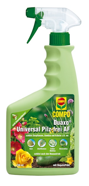COMPO Duaxo Universal Pilz-frei AF (750 ml) online kaufen