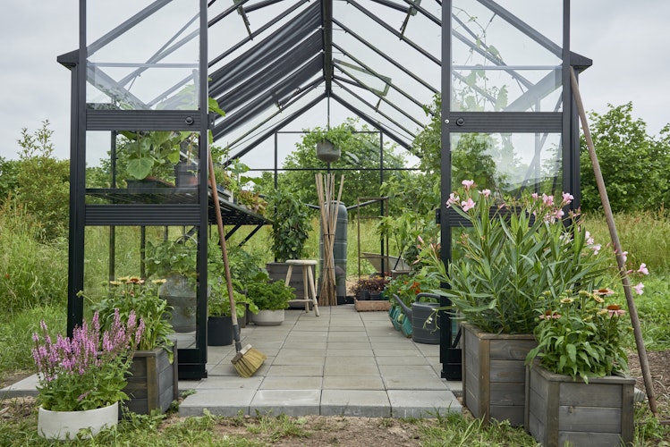Halls Gewächshaus Blockley 8,1 m² / 9,7 m² / 11,3 m²  - Schwarz mit 3 mm Sicherheitsglas  inkl. integrierten Fundamentrahmen