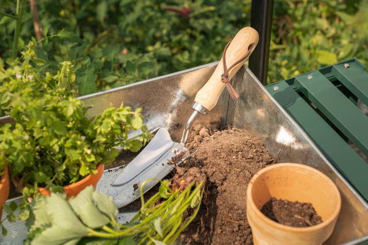 Vitavia Pflanzschale Massiv galvanisiert Alu 38,5 x 28,5 x 11,5 cm