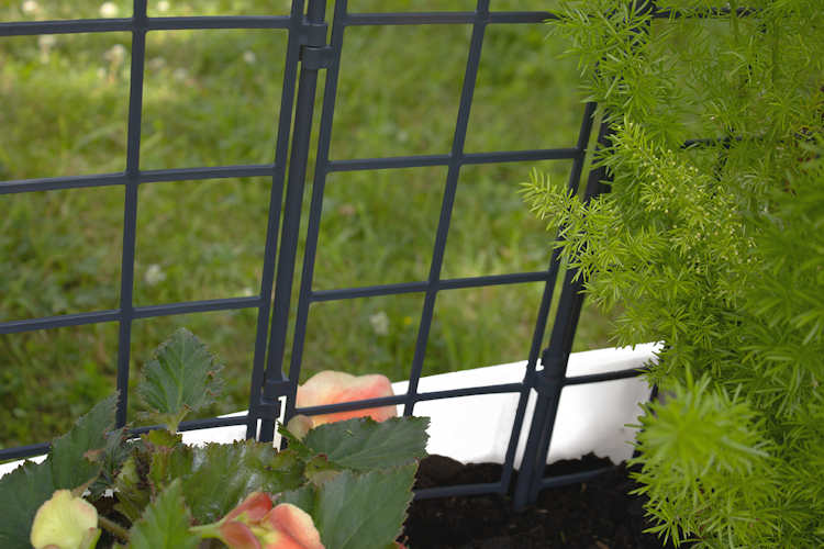 KHW Calypso Pflanzkasten auf Rollen mit Bewässerungssystem + modularem Spalier