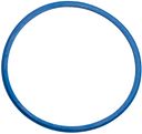 Vorschaubild Fulcrum Dichtring blau