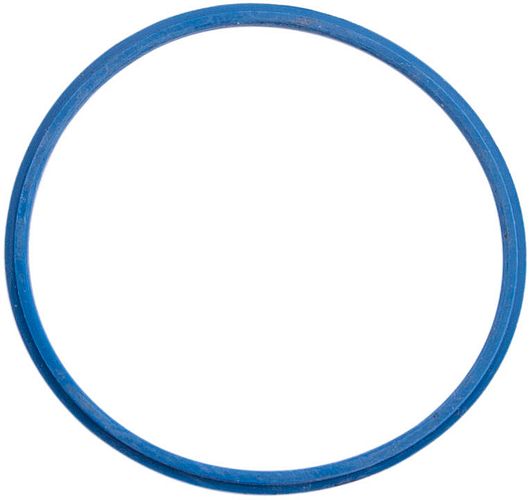 Fulcrum Dichtring blau