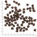 WOLFSBLUT Cold River Small Breed Forelle mit Süßkartoffel Hundetrockenfutter