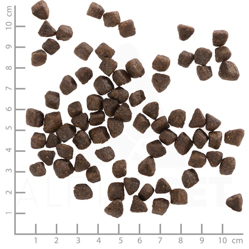 WOLFSBLUT Cold River Small Breed Forelle mit Süßkartoffel Hundetrockenfutter