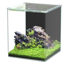 Aquatlantis Kubus Curve 65L LED - Basic