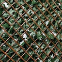 Vorschaubild Noor Rankhecke Weide