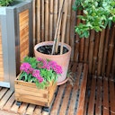 Vorschaubild BambusBASIS Pflanzkübel quadratisch 