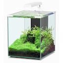 Aquatlantis Nano Cubic 30 LED Aquarium-Set