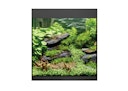 Vorschaubild Oase Aquarium StyleLine Modell 85